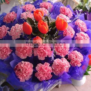 Carnation Fresh Cut Flower for Sale thumbnail-6