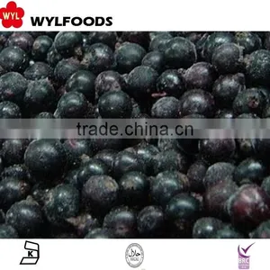 IQF Frozen Balck Currant Hot Sale 2015 thumbnail-6