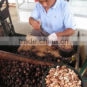 SUPPLY CASHEW NUT SHELL OIL thumbnail-3
