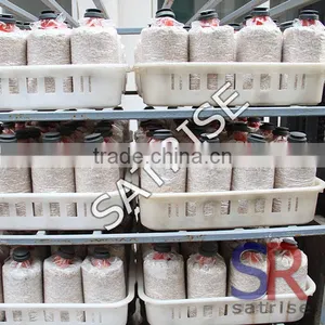 2016 Best Selling Mushroom Grow Bags Plastic Crate thumbnail-5