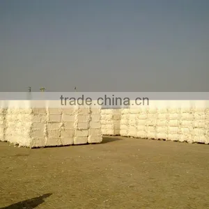 Raw Cotton thumbnail-3