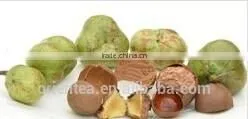 Camellia Sinensis Seed Oil thumbnail-2