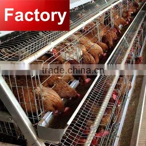 CHINA Cheap Price 10 Years Using 200 Capacity Battery Cage for Chicken thumbnail-1