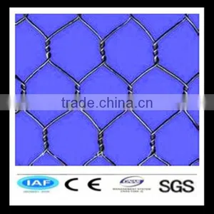 Hot Sale Chicken Cloth Wire Netting thumbnail-1