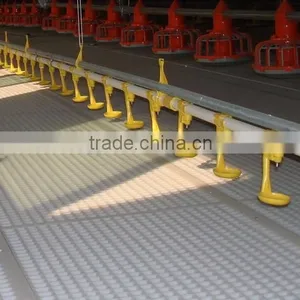 Newly-developed Farm Automatic Chicken Feeding System thumbnail-4