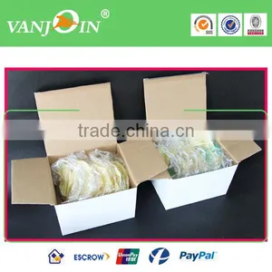 (Pack of 10) Health and Sanitay Restaurant Plastic Face Mouth Mask Guard For Restaurant Food Process thumbnail-2