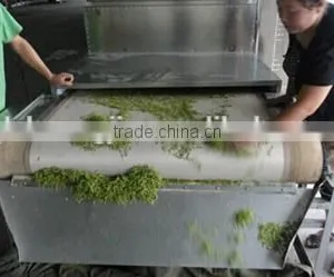 Double Win Food Drying Machine,industrial Fruit Drying Machine,fruits and Vegetables Dehydration Machines With Lower Price thumbnail-5