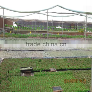 Multi-span Galvanized Black Out Greenhouse thumbnail-3