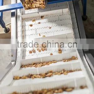 Walnut Kernel Multiple Layer Stainless Steel Conveyor Dryer thumbnail-3