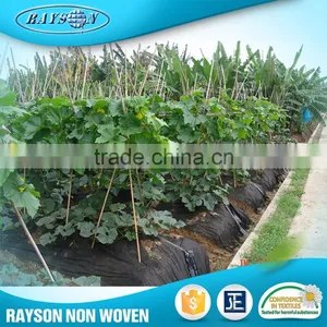 17~70g/m2 Biodegradable Weed Control PP Non Woven Weed Mat thumbnail-6