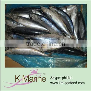 High Grade Frozen Mackerel Fish Whole Round thumbnail-1