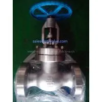 ANSI 900LB Duplex S31803(2205) Globe Valve thumbnail-1