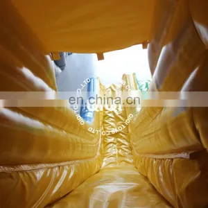 Giant Inflatable Rainbow Water Slide With Pool for Adult and Kids thumbnail-4
