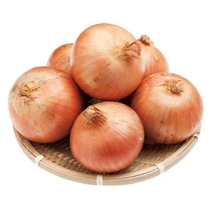 Fresh Yellow Onion in 25kg/Mesh Bag thumbnail-1