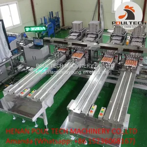 Automatic Egg Grading Equipment & Automatic Egg Packing Equipment thumbnail-3