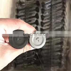 For Kawasaki Klx250 Klx300 Sb250 Large Displacement Motorbikes Parts Inlet Exhaust Engine Valves thumbnail-6