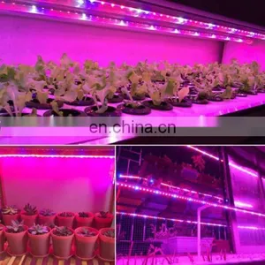 DC12V 5050 Full Spectrum Led Grow Strip Light Red:blue 3:1,4:1,5:1 Led Plant Growth thumbnail-3