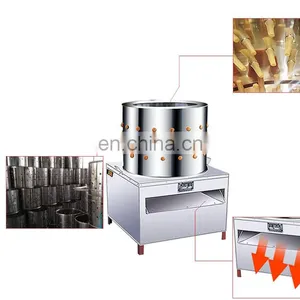 Hot Sale Chuangyuan Bird/Poultry Peeling Machine for Sale Stainless Steel Material Strong Rubber Finger TM-50 thumbnail-5
