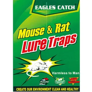 Pest Control 30g Ready Baited Mickey Cats Brand Big Rat 80AAA Mouse Glue Traps thumbnail-1