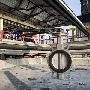 OEM Asme Manual 2 3 4 6 8 Fast Delivery EPDM PTFE SS304 SS316 Wholesale Butterfly Valves for Oil Acid Control Direct China thumbnail-4