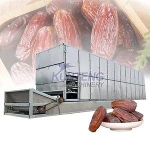 Industrial Iraqi Jujube Date Palm Dehydration Dryer Red Dates Mesh Belt Dryer Fruits Dried Production Processing EPC thumbnail-1