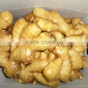 2015 New Crop Shandong Fresh Ginger thumbnail-1