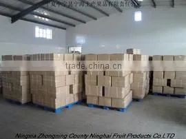 Ningxia Zhongning County Ninghai Fruit Products Co., Ltd. company overview - view 1 thumbnail