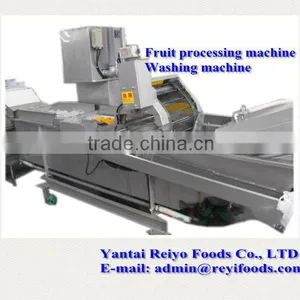 Fruits and Vegetable Washing Machine / Impurity Removing and Cleaning Machine thumbnail-1
