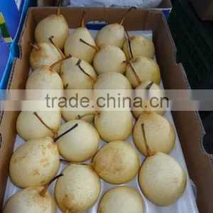 China Shandong Pear/China Delicious Nashi Pear/ya Pear thumbnail-1