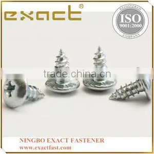 Self Tapping Screw Galvanized Steel Tapping Screw thumbnail-4