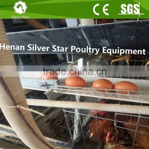 Automatic Egg Collecting Machine for Chicken Layer House Shed thumbnail-4