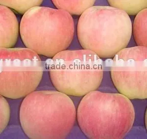 Chinese Fresh Sweet Red Star Apple With Good Quality thumbnail-5