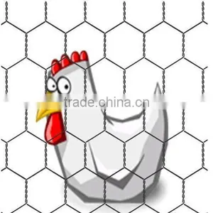 Chicken Wire Mesh thumbnail-1