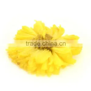Ancient Chinese Medicine for Herbal Therapy and Herbal Remedy Chrysanthemum thumbnail-3
