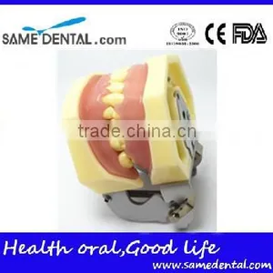 Dental Eduction Assitant No. DEA-06 thumbnail-3