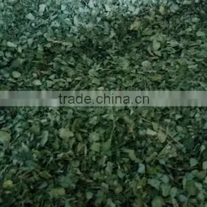 MORINGA DRIED LEAF/ MORINGA OLEIFERA thumbnail-1