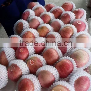 Yantai Fresh Apple/china Fresh Apple thumbnail-2