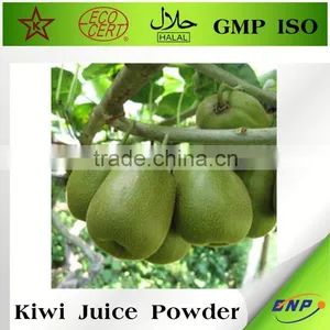 Fruit Extract Powder thumbnail-1