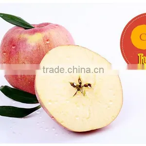 New 2016 Professional Delicious High Quality Fresh Red Hanfu Apple thumbnail-4