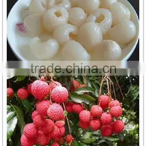 Good Products Canned Fruit Canned Lychees in Syrup thumbnail-1