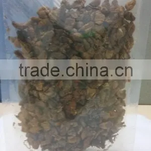 Protein Dried Insects thumbnail-3