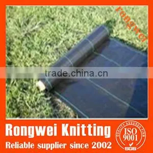 Plain Woven 12x12 Mesh Plastic Weed Mat thumbnail-1