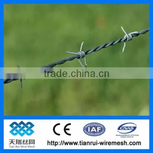 Galvanized Double Twisted Barbed Wire thumbnail-1