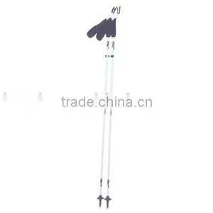 Alpine Ski Pole thumbnail-1
