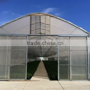 China Greenhouse for Sale thumbnail-2