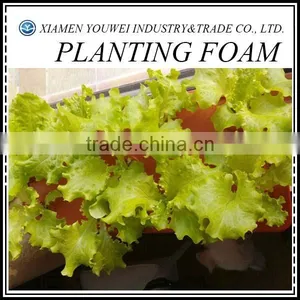 Flower Arranging Foam Floral Foam For Flower Arrangement thumbnail-1