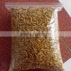 Fish Food Mealworms Golden Yellow, Pigeon Feed thumbnail-2