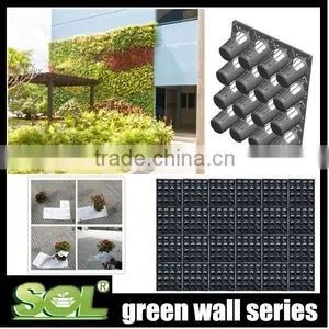 Types of Ornamental Plants Hydroponics Equipment Flowerpot thumbnail-1