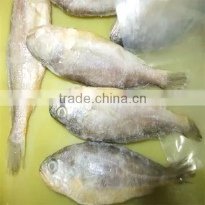 Fresh Delicious Food Fish With Bone thumbnail-1