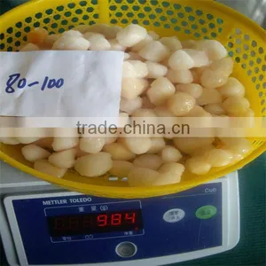 Seafrozen High Quality Sea Scallops thumbnail-1